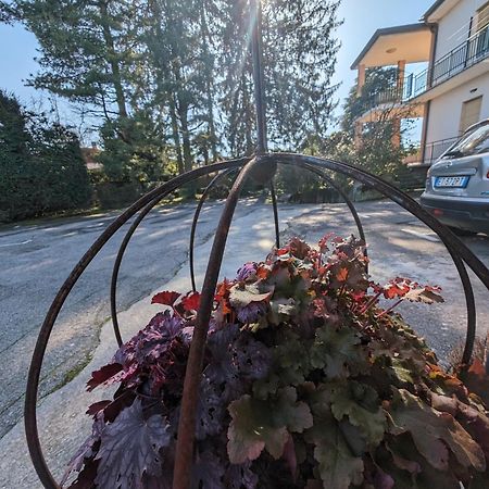 Paradeisos Residence Sas Somma Lombardo Eksteriør billede